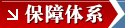保障体系